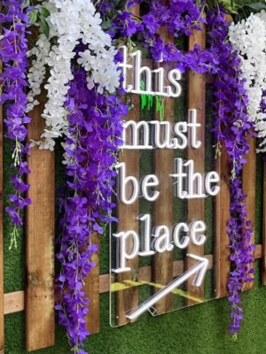 This must be the place